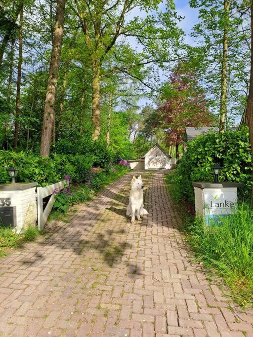 Lanke Garden Studio Rijsbergen Buitenkant foto